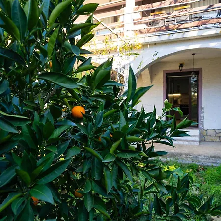 Appartement Zlata