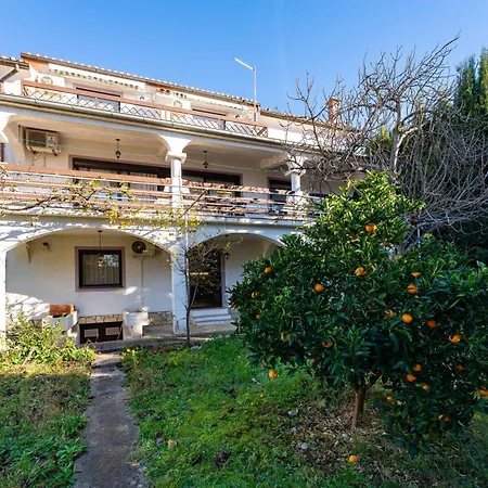 Zlata Appartement