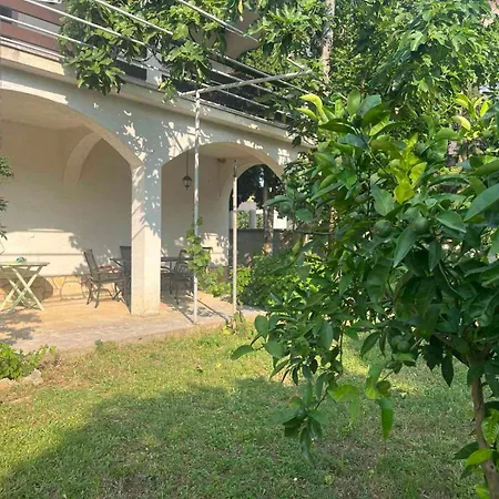 Goldy ביוגראד נה מורו