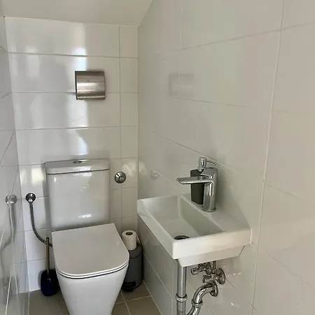 Goldy * Biograd Na Moru