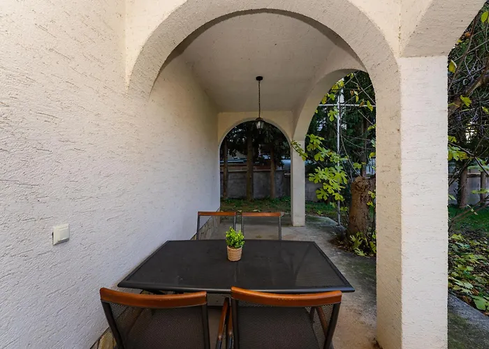 Goldy Biograd Na Moru